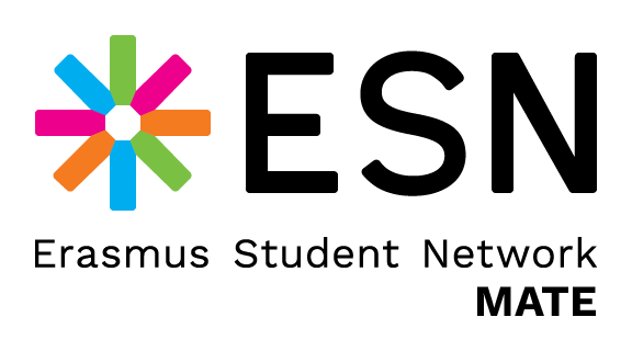 ESN MATE logo